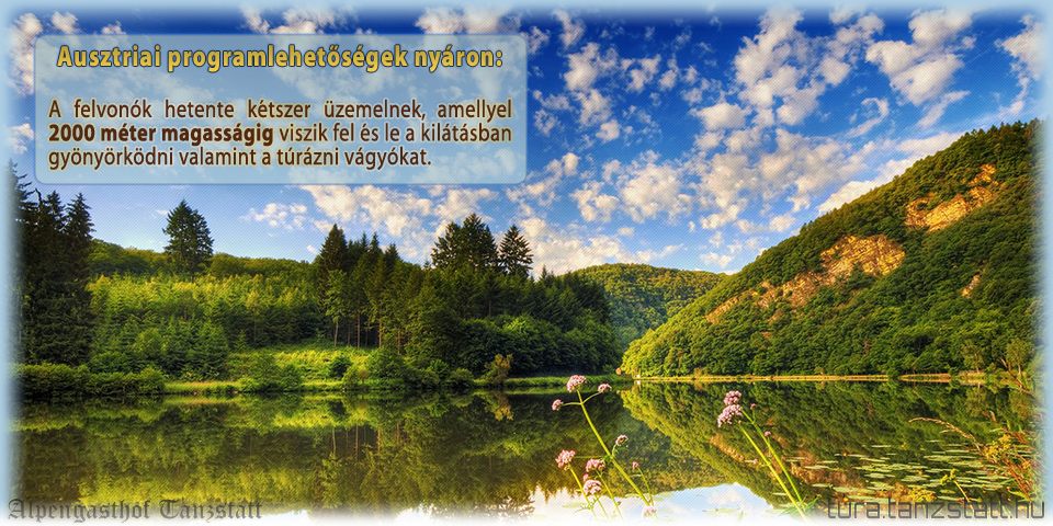 Üdvözöljük oldalunkon!